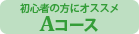 オークション代行-Aコース